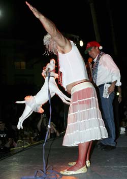 Pet Masquerade and Parade 2005 photo - Duval Street, Key West